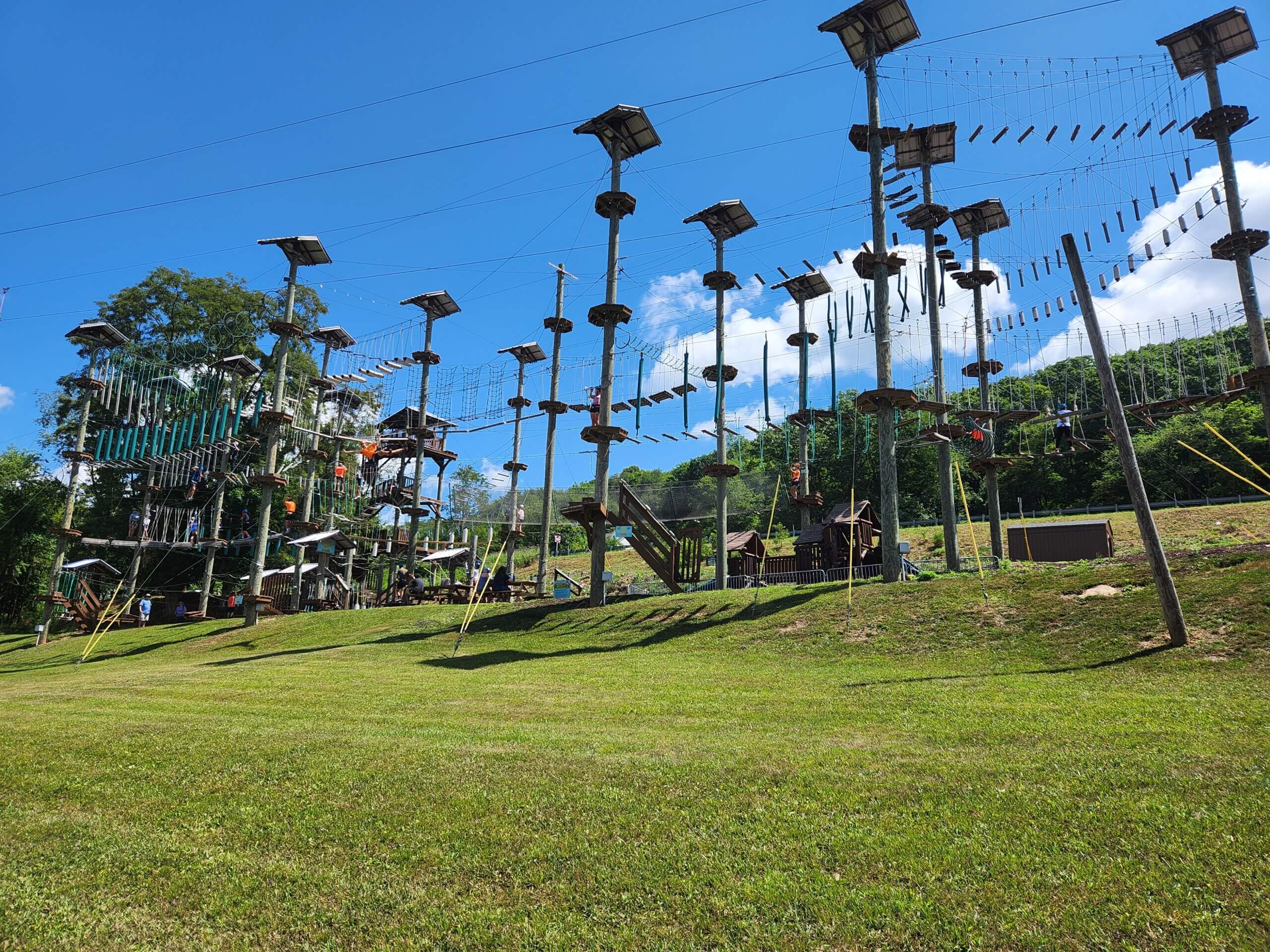 Wide-angle view of the Monkey Business Adventure Park.